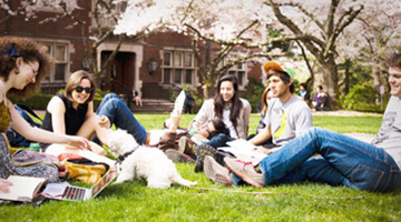 Online MBA Marketing a comprehensive study of modern business – 3 years courses